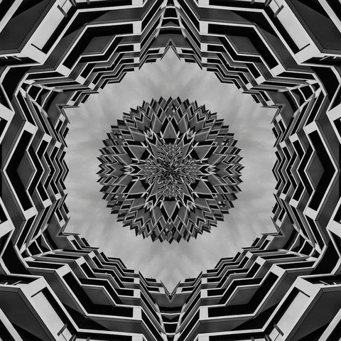 GIF by dreihundertsechzig