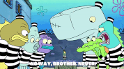 season 9 episode 6 GIF by SpongeBob SquarePants
