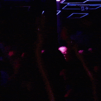 Party Dj GIF