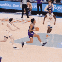 Panthers GIF by UNI Athletics