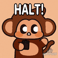 Monkey No GIF