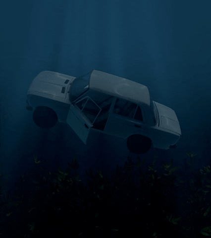 sashakatz sasha katz GIF