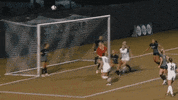 Celebrate Rice University GIF by Rice Owls
