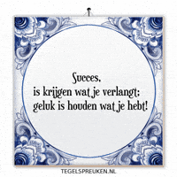 Humor Succes GIF by Tegelspreuken.nl