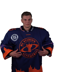 Sport Hokej Sticker by HCSTADION