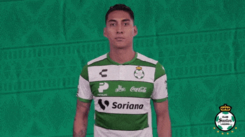 clubsantos  GIF