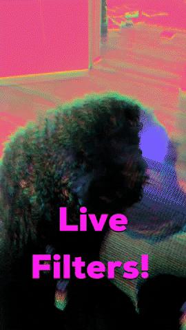 GIF by Animal's House