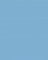 North Carolina Baseball GIF by UNC Tar Heels