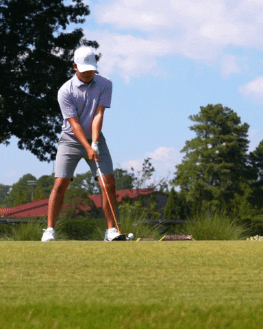 Georgia Tech Golf GIF by Georgia Tech Yellow Jackets