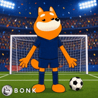 Crypto Fifa GIF by BONK