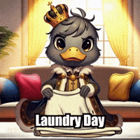 Laundry Day Home GIF by sirduckbeth