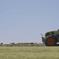 Cow Grass GIF by CLAAS