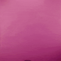 Video gif. A muscular shirtless man rises wearing a bowtie and grins as he holds out a rose. Text, "Happy Thursday."