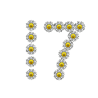 Flower 세븐틴 Sticker