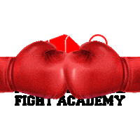 mehmetmistikfightacademy fight champion personal start Sticker