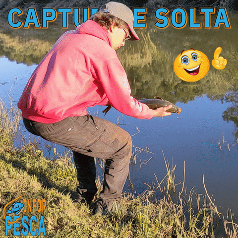 InForPesca giphyupload GIF
