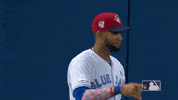 regular season sport GIF by MLB