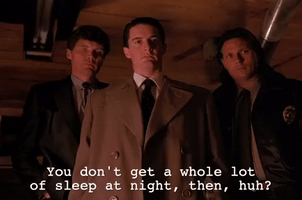 season 1 GIF by Twin Peaks on Showtime
