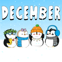 Cold Weather Cat GIF by Pudgy Penguins