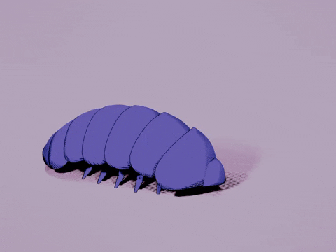 Rolling Roly Poly GIF