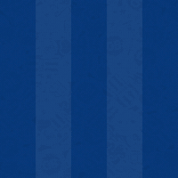 Soccer Goal GIF by Odense Boldklub
