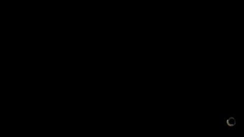 Squareblind1 giphygifmaker GIF