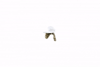 toppaldn toppalondon leopardhat dogearhat GIF