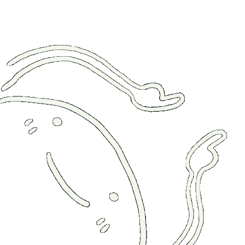 Tap Here Sticker