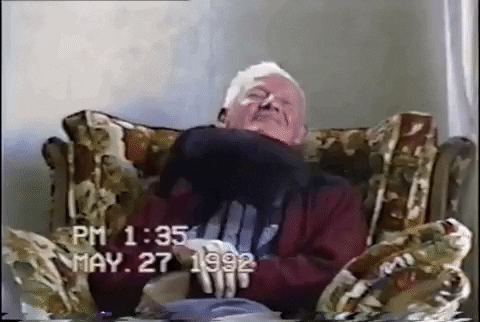 GIF by AFV Pets