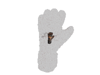 soccer goalkeeper Sticker