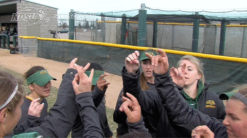 north dakota state bison GIF by NDSU Athletics