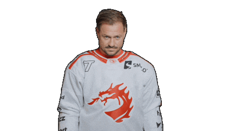 Trinec Sticker by HC Oceláři Třinec