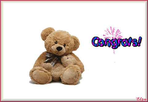 Teddy Bear Congrats GIF