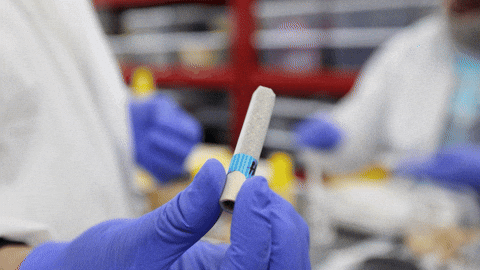 Chocolate Grow GIF by Exclusive Brands