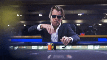 WPT winning poker casino like a boss GIF