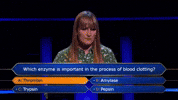 Wwtbams8E2 GIF by Stellify Media