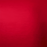 Texas Tech GIF by Texas Tech Baseball