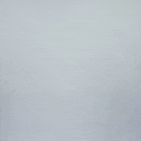 Texas Tech GIF by Texas Tech Baseball