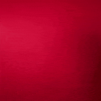 Texas Tech GIF by Texas Tech Baseball