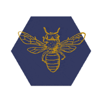 Ewd Jimson Sticker by everettewilsondesigns