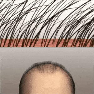 airplanefakhr giphygifmaker giphyattribution GIF