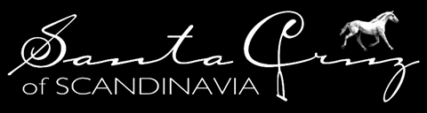 santacruzofscandinavia giphygifmaker giphyattribution santacruz santacruzofscandinavia GIF