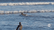 West Coast Surf GIF by Smart City Media