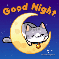 Good Night Smile GIF by Mino Games