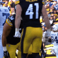 Excited Football GIF by Pittsburgh Steelers