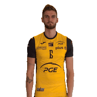 Belchatow Sticker by PGE Skra Bełchatów