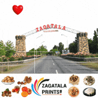 Tala GIF by Zagatala Prints
