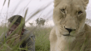 GIF by Cannes Lions