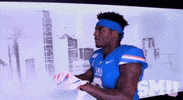 College Sports Ncaa GIF by SMU Football