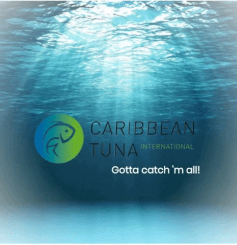 caribbeantunainternational giphygifmaker ocean fish ordernow GIF